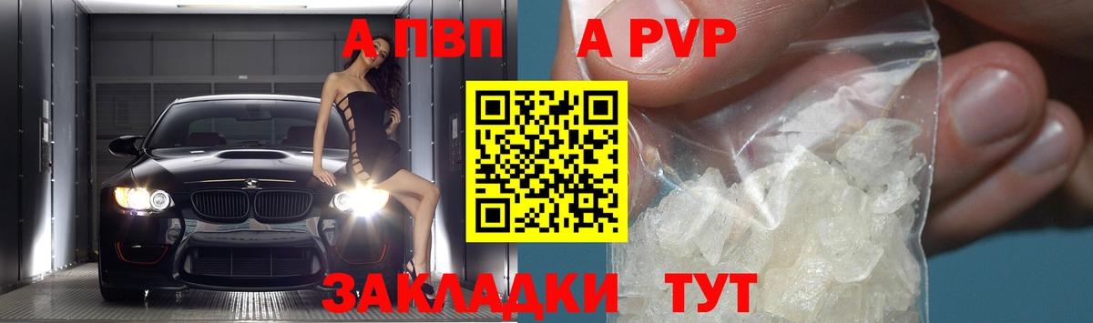 Альфа ПВП СК КРИС Владикавказ