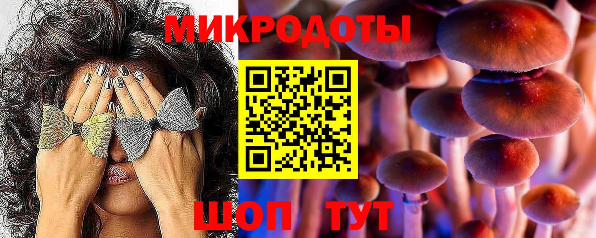 Псилоцибиновые грибы ЛСД Владикавказ