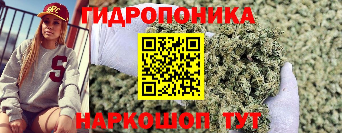 Бошки марихуана Amnesia  Бошки марихуана тримм  Шишки марихуана SATIVA & INDICA  Вход с VPN  Бошки марихуана индика  Владикавказ 